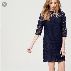 Loft navy lace shift dress